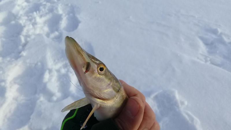 20191126_125250.jpg