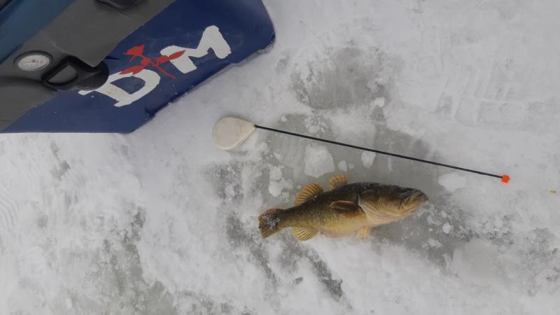 20191117_112753.jpg
