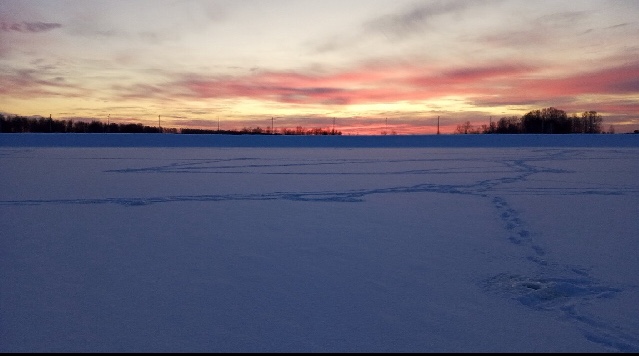 F5927C5E-7E4E-44A6-AC23-04247B53C4DB.jpeg
