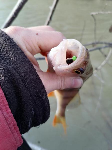 Прикрепленное изображение