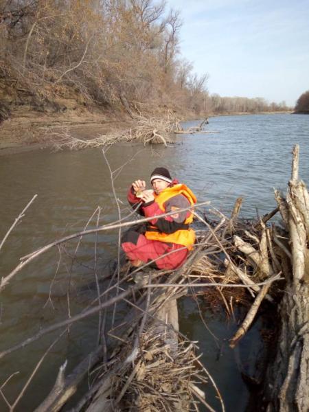 Прикрепленное изображение