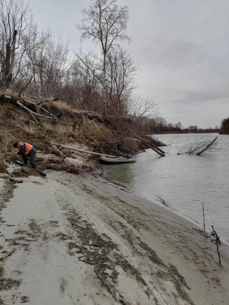 Прикрепленное изображение