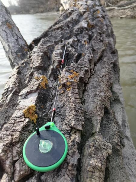 Прикрепленное изображение