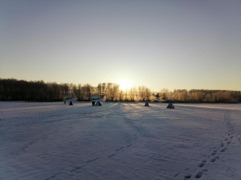 IMG_20201128_095707.jpg