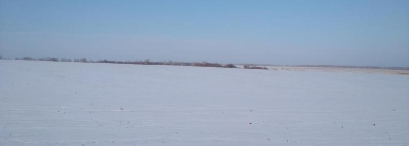 IMG_20201118_143122.jpg