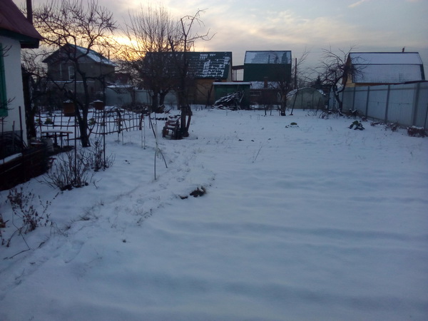 IMG_20201117_094350.jpg