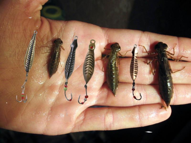 etaps - копия (2).jpg