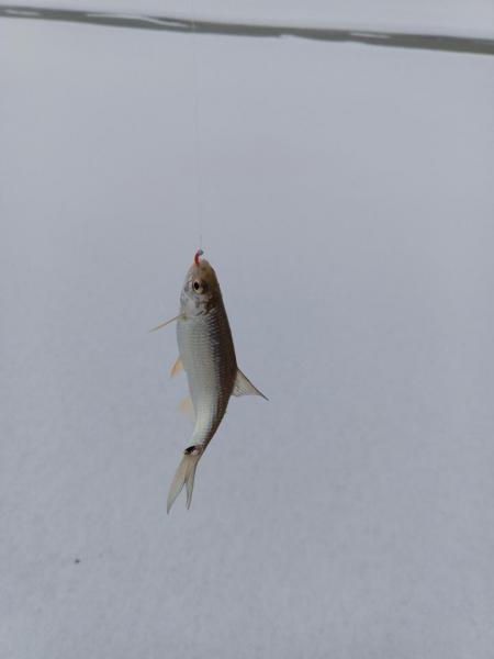 IMG_20231127_155742_498.jpg