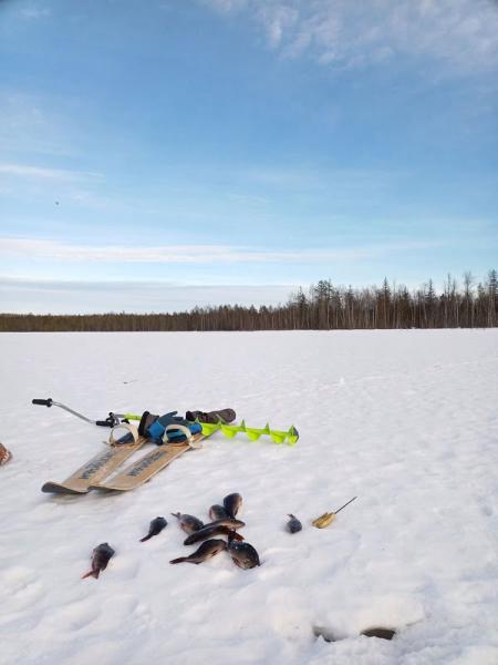 IMG_20230318_160707_393 (1).jpg