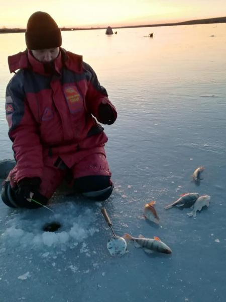 Прикрепленное изображение