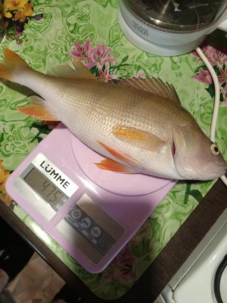 Прикрепленное изображение