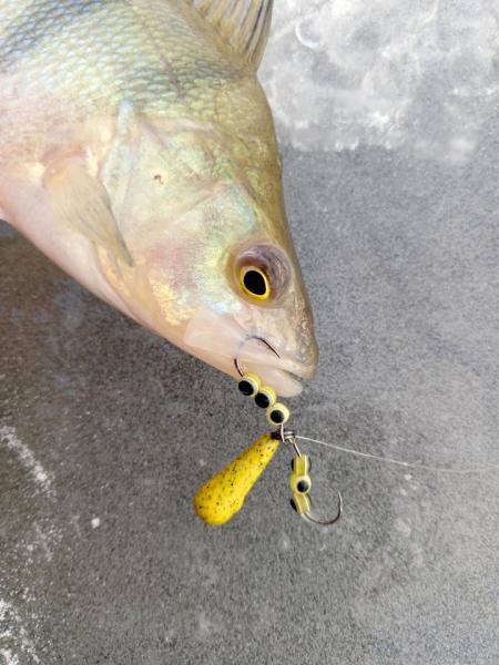 Прикрепленное изображение