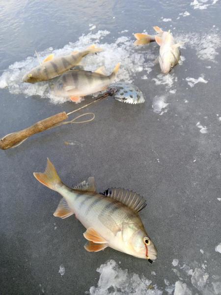 Прикрепленное изображение