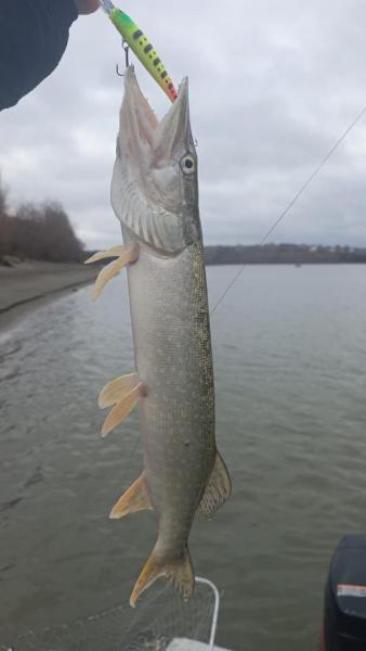 WhatsApp Image 2025-11-04 at 16.05.33.jpeg