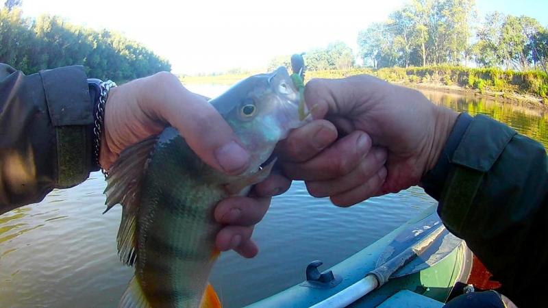 FHD0021 - frame at 1m28s.jpg