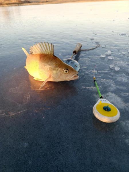 Прикрепленное изображение