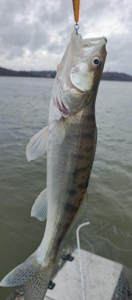 WhatsApp Image 2025-11-04 at 16.05.34.jpeg