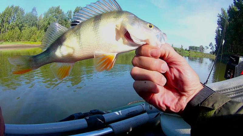 FHD0037 - frame at 9m12s.jpg