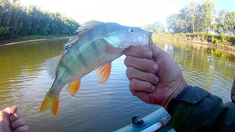 FHD0021 - frame at 1m25s.jpg