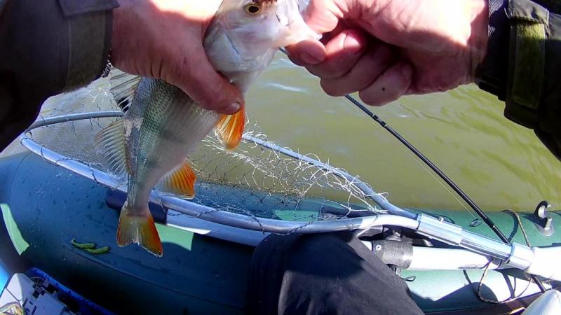 FHD0045 - frame at 1m55s.jpg