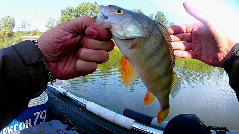 FHD0032 - frame at 0m47s.jpg