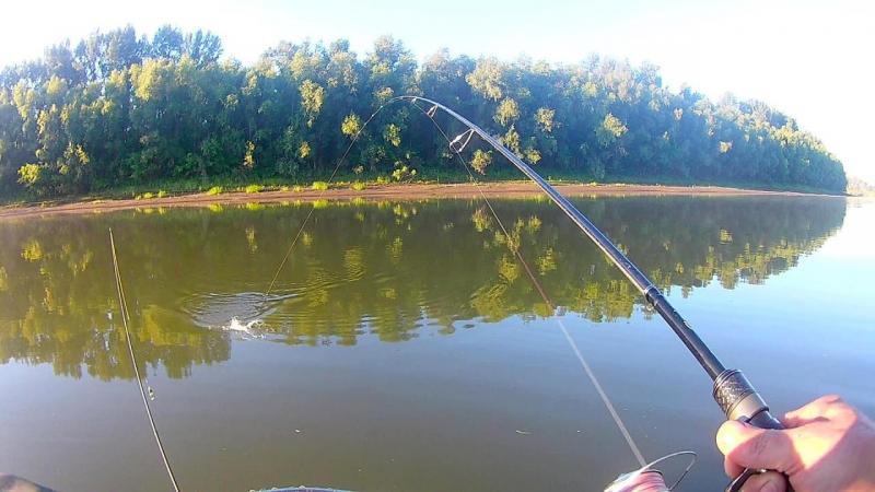 FHD0010 - frame at 4m52s.jpg