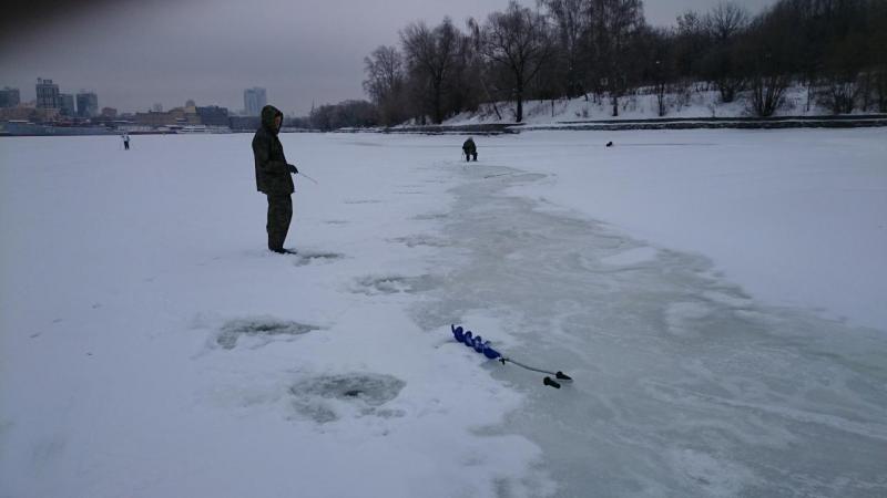 Прикрепленное изображение