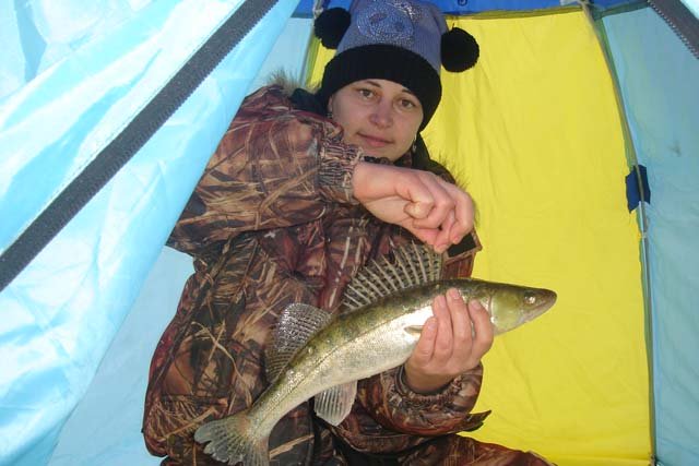 Прикрепленное изображение