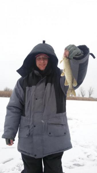 Прикрепленное изображение