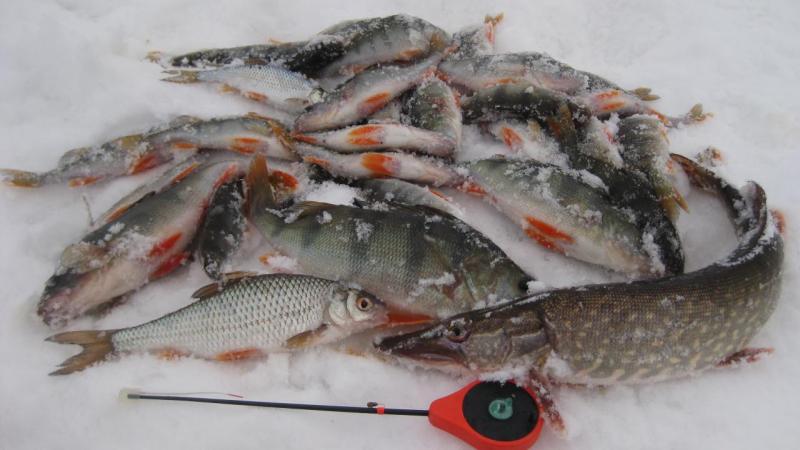 Прикрепленное изображение