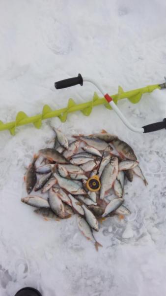 Прикрепленное изображение