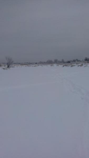 Прикрепленное изображение