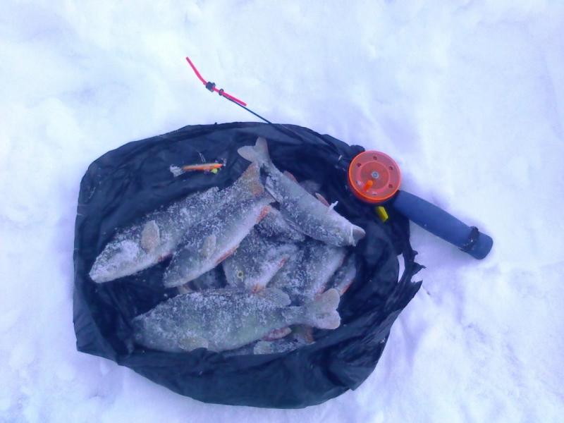 Прикрепленное изображение