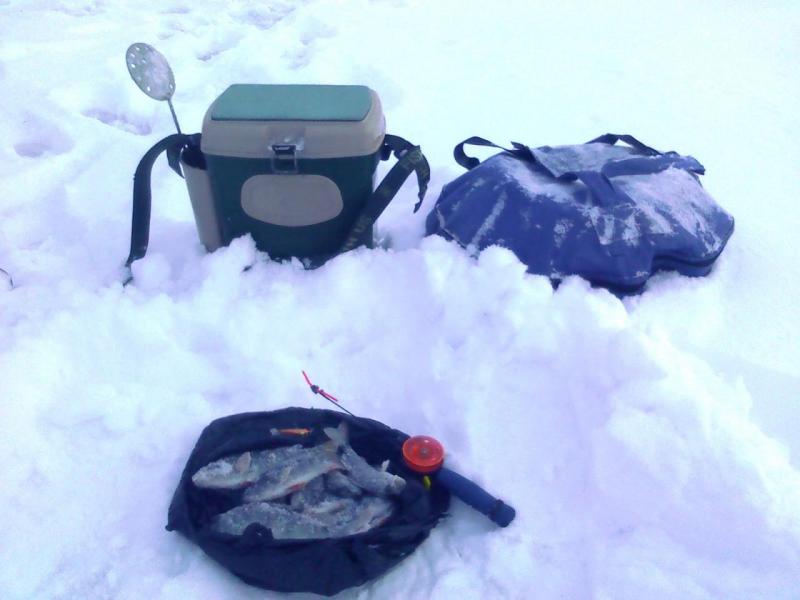 Прикрепленное изображение