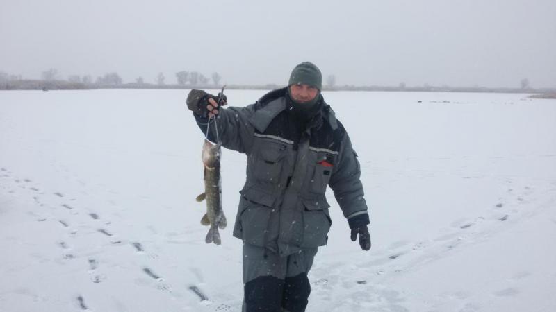 Прикрепленное изображение