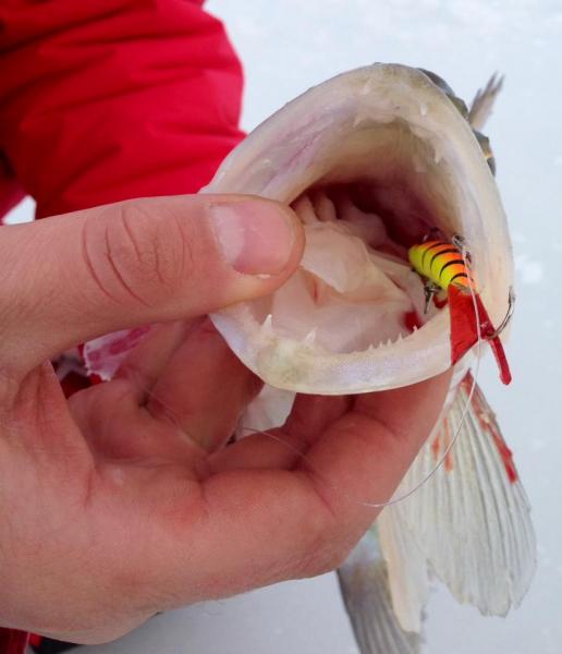 Прикрепленное изображение