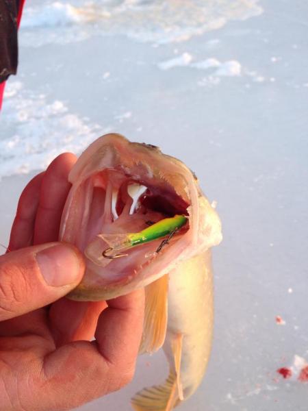 Прикрепленное изображение