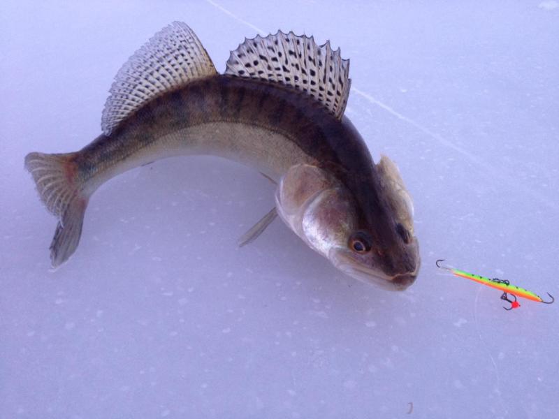 Прикрепленное изображение