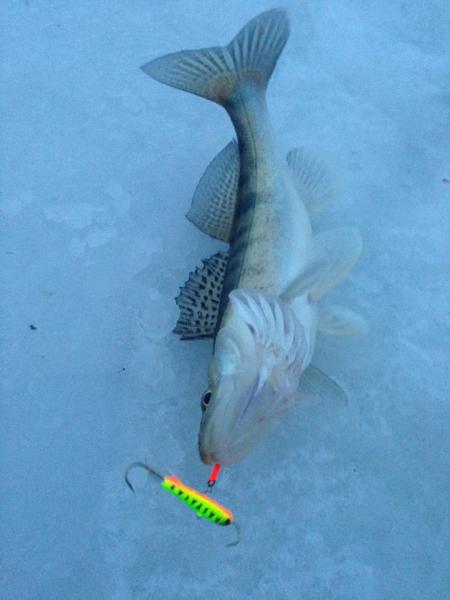 Прикрепленное изображение