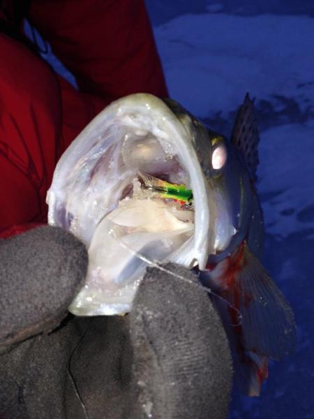 Прикрепленное изображение