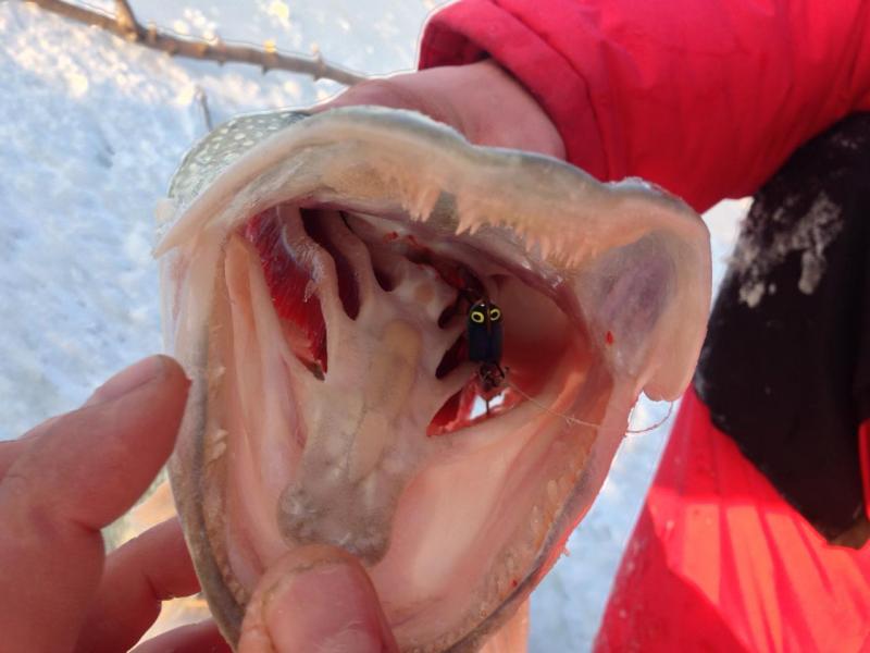 Прикрепленное изображение