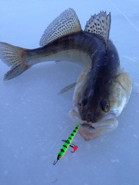 Прикрепленное изображение