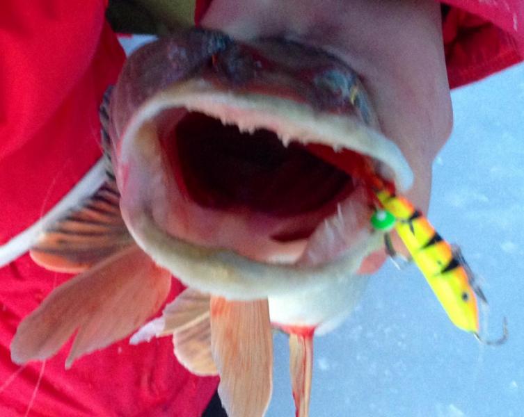 Прикрепленное изображение