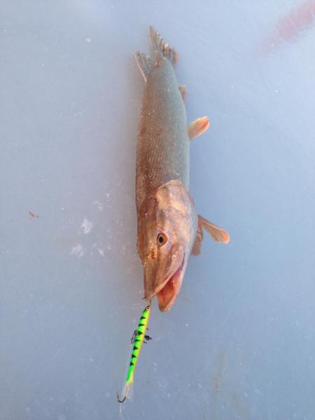 Прикрепленное изображение