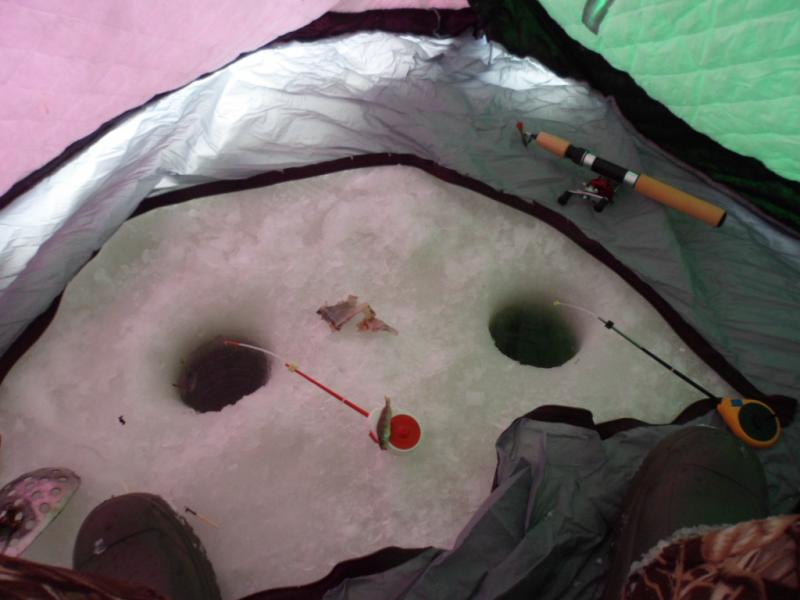 Прикрепленное изображение