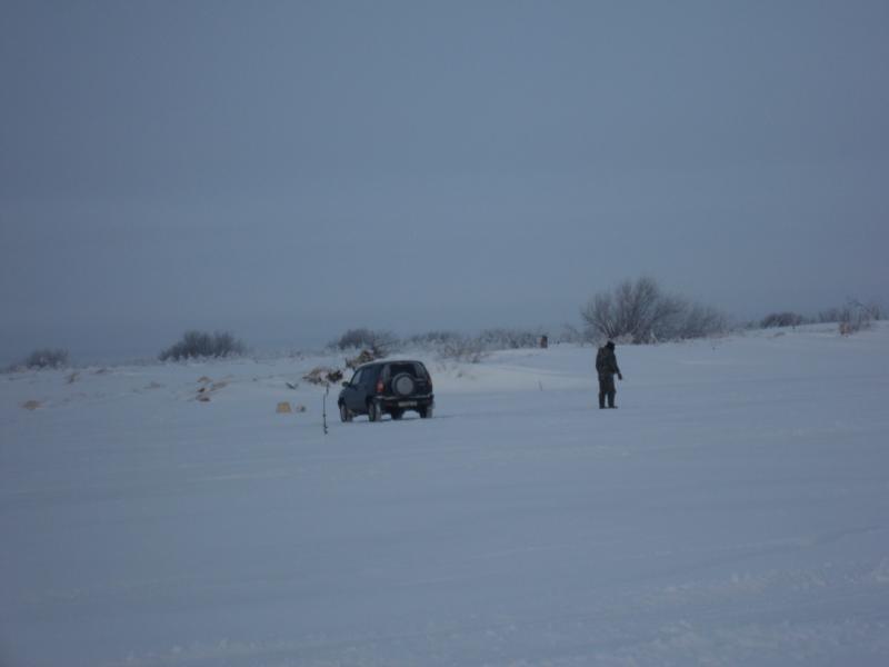 Прикрепленное изображение