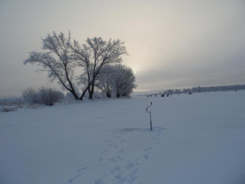 Прикрепленное изображение