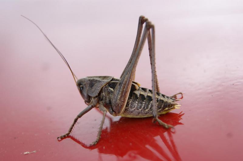 Изображение 176.jpg