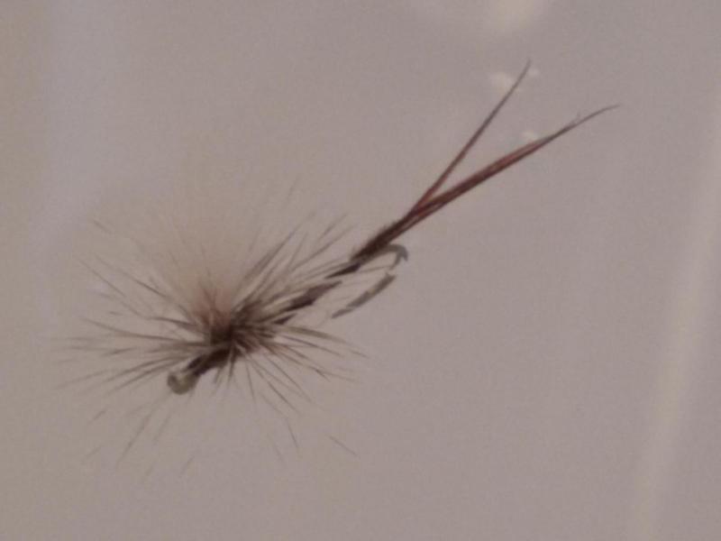 20141219_144142.jpg