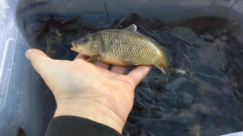 20141203_154307.jpg